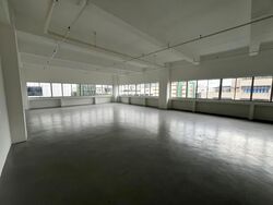 Perfect One (D13), Factory #556644211